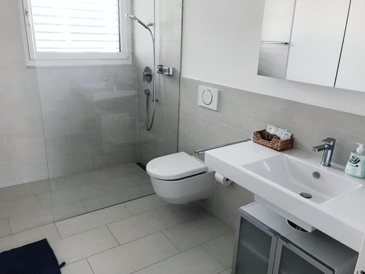 Easy-Living Apartments Dietwil ภายนอก รูปภาพ